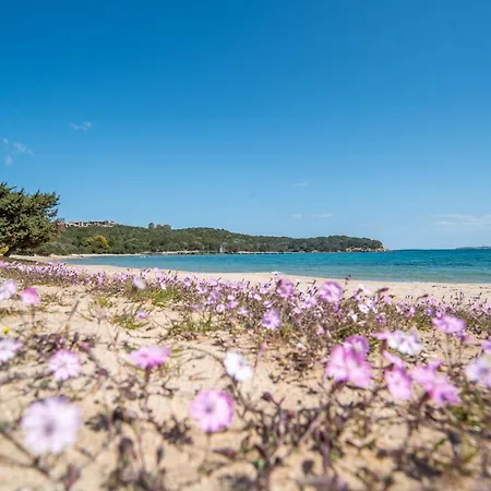 Apartamento Sole Palau