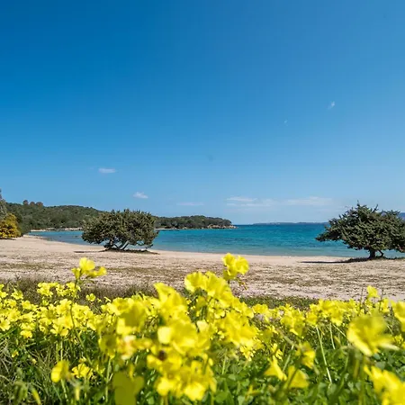 Apartamento Sole Palau